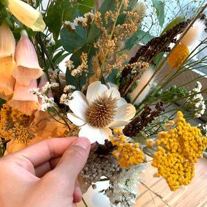 Meet your Posher, Ivy